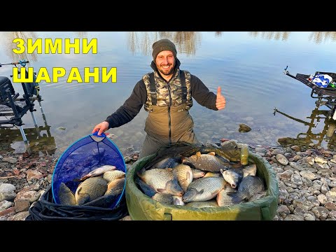 Видео: РИБОЛОВ на ШАРАНИ в ЛЕДЕНИ ВОДИ - КАК да ЛОВИМ УСПЕШНО през ЗИМАТА с МЕТОД ФИДЕР