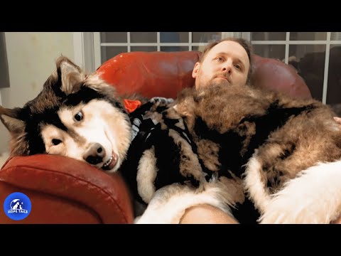 Видео: Мужчина говорил: «Больше никаких домашних животных», пока животное, спасённое его женой, не измен...