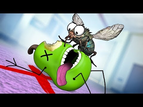 Видео: МУХА VS ГРУШКА?) УГАРНЫЕ МОДЕЛЬКИ В МАНЬЯКЕ CS:GO - МАНЬЯК КСГО