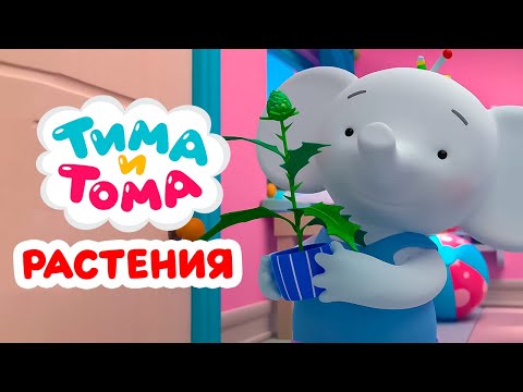 Видео: Тима и Тома. Ухаживаем за растениями с Тимой и Томой