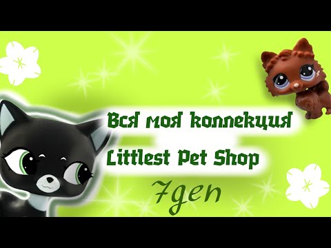 Видео: Вся моя коллекция лпс 7поколение.All my lps collection 7generation.