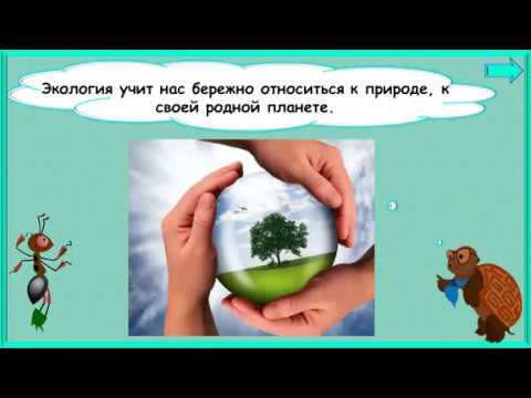 Видео: Почему мы часто слышим слово Экология? #начальнаяшкола #окружающиймир #1класс
