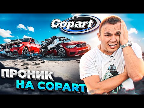 Видео: Обзор битков на аукционе Copart | S-line motors