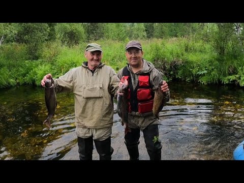 Видео: Трудовая рыбалка на таёжной речке. ОГРОМНЫЙ ХАРИУС. ( ЕСТЬ МАТ).  2 СЕРИЯ.