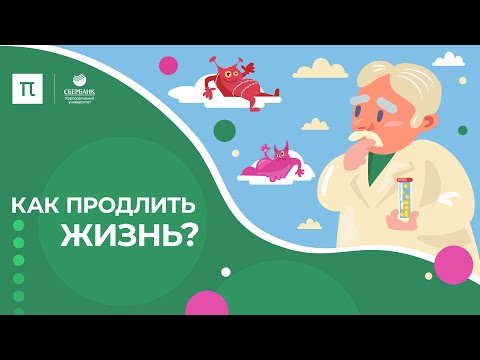 Видео: Как продлить жизнь? / ПостНаука
