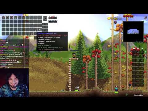 Видео: Terraria Calamity Mod Мастер и Смерть за Воина. Сборка модов. Начало #1