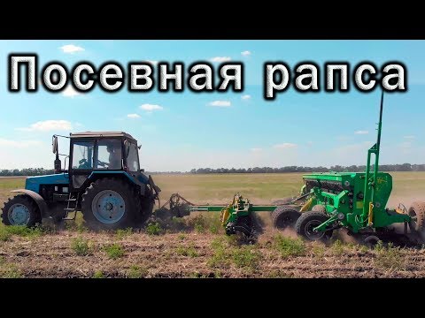 Видео: Посевная рапса в экстремальных условиях!