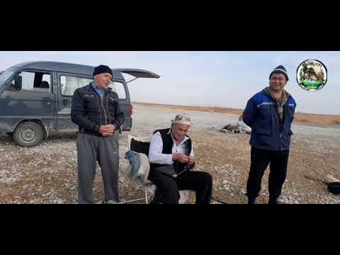 Видео: Конимех Шур кул балик ови 1 видё давоми