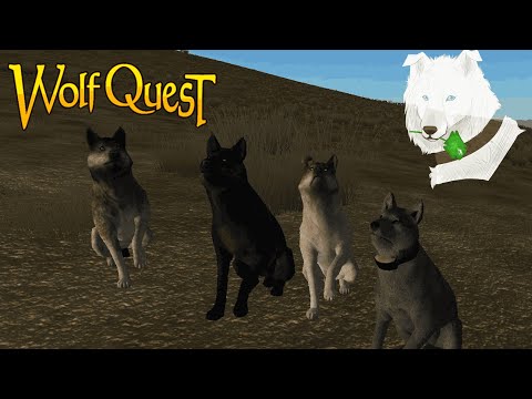 Видео: WolfQuest: Classic со стаей Sunny Age | Стрим