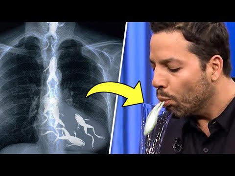 Видео: РАЗОБЛАЧЕНИЕ САМЫХ БЕЗУМНЫХ ФОКУСОВ