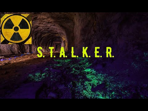Видео: Через 4 дня собираюсь в большое путешествие. Вопрос ответ. Играю в  S.T.A.L.K.E.R. - OGSE