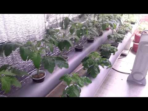 Видео: Гидропонная система