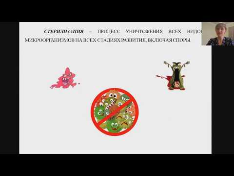 Видео: Стерилизация виды, методы и способы.