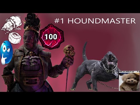 Видео: Как играет первый в мире P100 Houndmaster [DBD]
