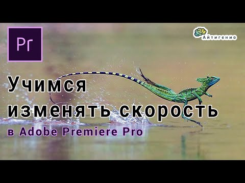 Видео: Уроки по Adobe Premiere Pro. Учимся изменять скорость видео