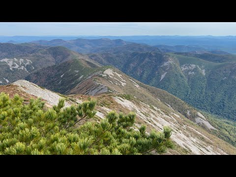 Видео: гора Снежная / Закрыл Приморского барса / сентябрь 2025