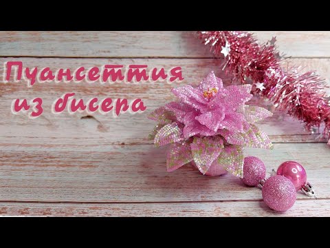 Видео: Пуансеттия из бисера - мастер-класс 2/2 + бонусный мк декупаж кашпо.