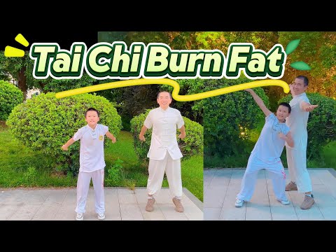 Видео: Сжигайте ЖИР с помощью древнего секрета пота Тайцзи для исправления осанки!