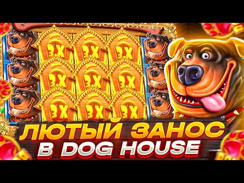 Видео: Х1000 С ПЕРВОЙ БОНУСКИ!! Я В ШОКЕ!! ПРОСТО РАЗНЕС DOG HOUSE!!!