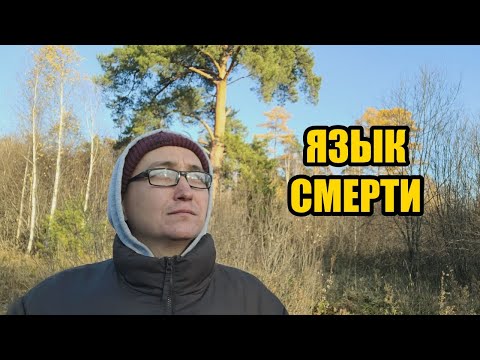 Видео: Мужская дисциплина не работает, пока не поймешь это..