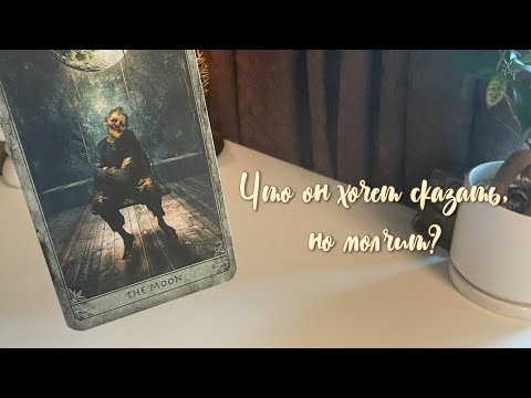 Видео: Что он хочет сказать, но молчит?