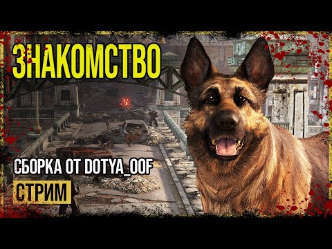 Видео: Fallout 4 → СБОРКА ОТ Dotya_Oof ► СТРИМ-ОБЗОР ◄
