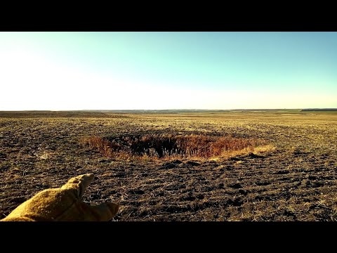 Видео: ПОСРЕДИ ПОЛЯ Я УВИДЕЛ НЕОБЫЧНУЮ ЯМУ И РЕШИЛ ПОДОЙТИ К НЕЙ