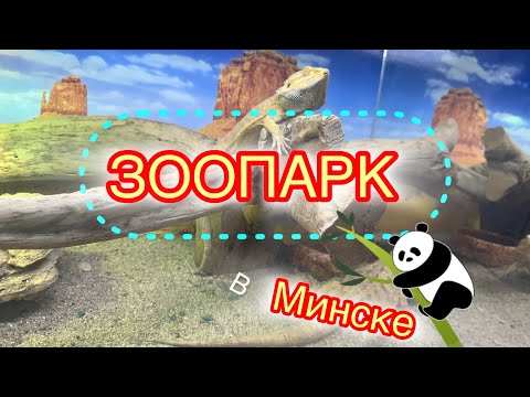 Видео: Зоопарк🇧🇾в Минске