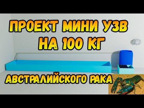 Видео: Проект мини УЗВ до 100 кг австралийского рака