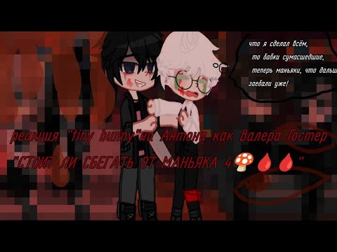 Видео: реакция tiny bunny на Антона как "Валера Гостер" дисклеймер в описании!
