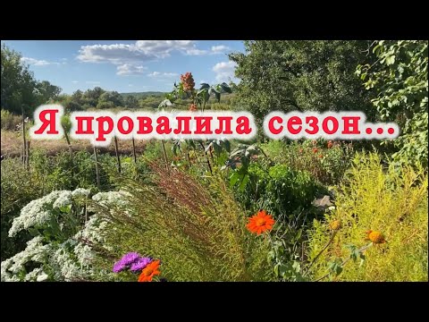 Видео: Трохи бідкаюсь. Висновки по сезону 2025. 