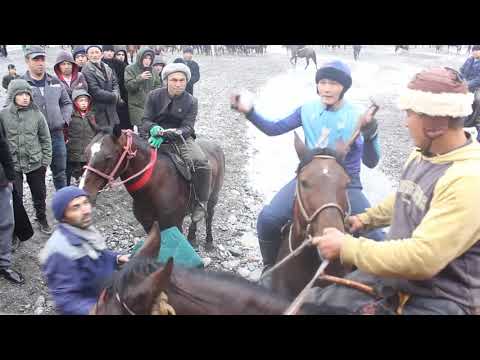 Видео: Ак-Суу улок  туй 3-кисм. Гиёсжон,Илёсжон ва Шохобиддинларнинг фарзандларига атаган улоглик туйлари.