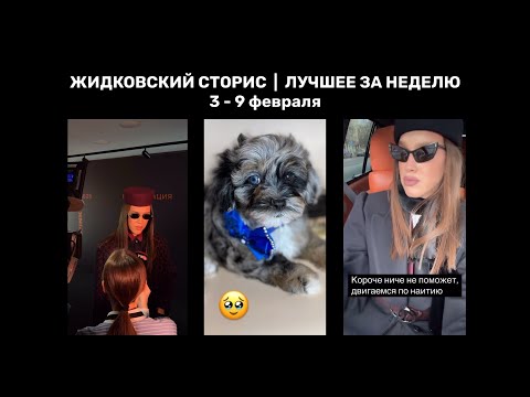 Видео: Жидковский сторис. Лучшее за неделю. 3 - 9 февраля