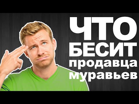 Видео: Что бесит продавца муравьев | Не делайте так