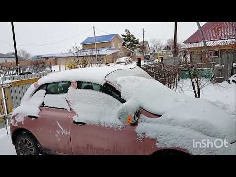 Видео: Влог 8 ноября 2025/снег/метель/Алтайский край 