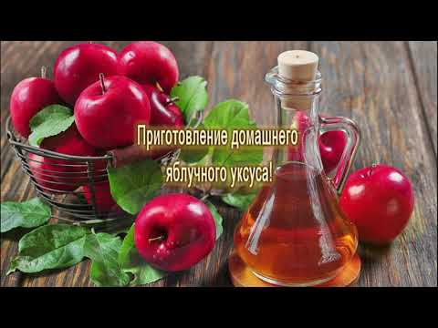 Видео: Приготовление яблочного уксуса. Игра молодого Таджикского голубя.