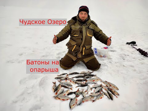 Видео: Чудское Озеро. Батоны На Опарыша. Клев Плотвы. Часть-1