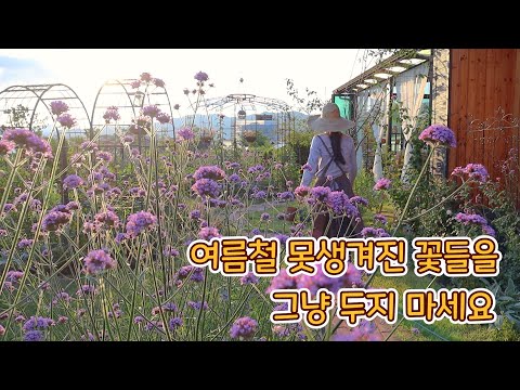 Видео: Подготовка и установка летних цветов/Розовых троллей для осенних садов
