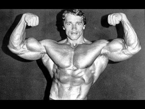 Видео: АРНОЛЬД - ТРЕНИРОВОЧНАЯ ЭТИКА