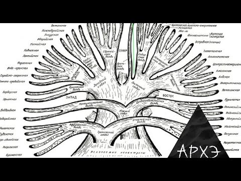 Видео: Станислав Дробышевский| "Происхождение рас"