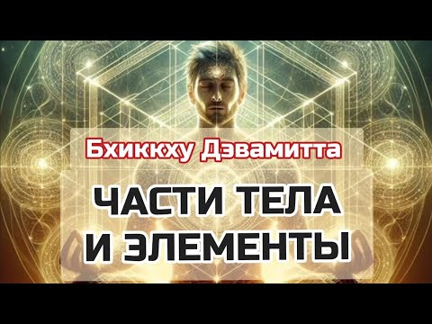 Видео: ЧАСТИ ТЕЛА И ЭЛЕМЕНТЫ | Бхиккху Дэвамитта | Лекции о БУДДИЗМЕ | Часть 7