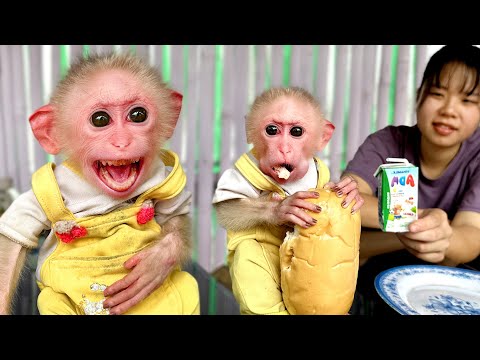 Видео: Как был спасён Каки???