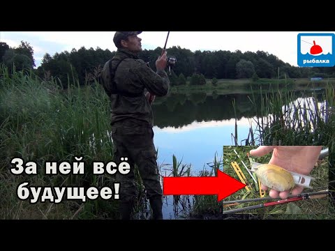 Видео: Выехал я на вечернюю зорьку на крупного карася с супер новой снастью!