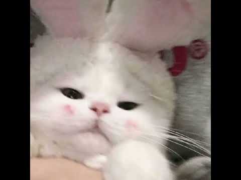 Видео: Егор крид - будильник speed up