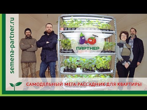 Видео: САМОДЕЛЬНЫЙ МЕГА-РАССАДНИК ДЛЯ КВАРТИРЫ