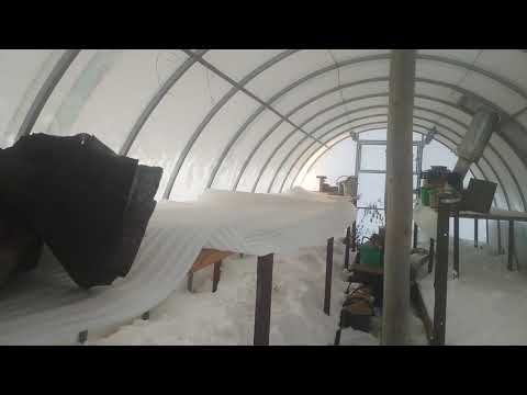 Видео: Нужен ли снег в теплице?