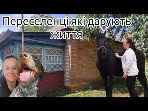 Видео: Будинок в селі для переселенців, що став прихистком не тільки для них.