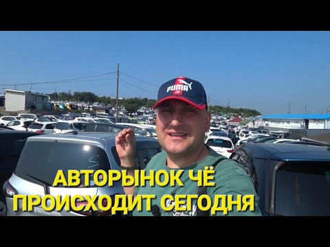 Видео: АВТОРЫНОК ЧЁ ТАМ СЕГОДНЯ, ВЛАДИВОСТОК ЗЕЛЁНЫЙ УГОЛ 2023