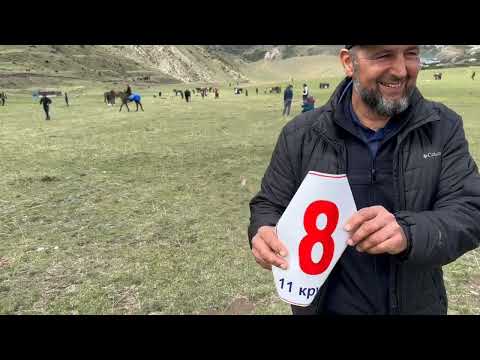 Видео: Видео фото репортаж со скачек в Ансалта.1.05.2023