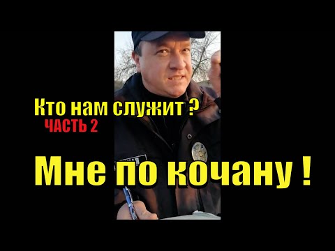 Видео: ПОЛИЦИЯ КОТОРОЙ ПО КОЧАНУ. КАРАТИСТ В ДЕЛЕ. ЧАСТЬ 2.